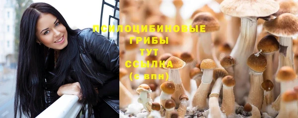 метадон Алексеевка