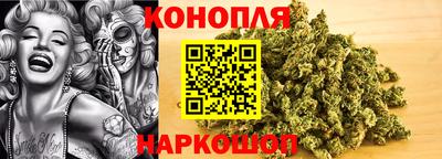 шишки Боровичи