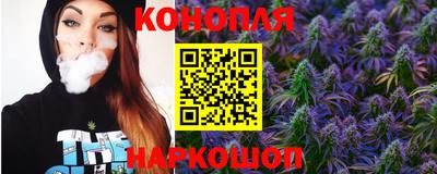 шишки Боровичи