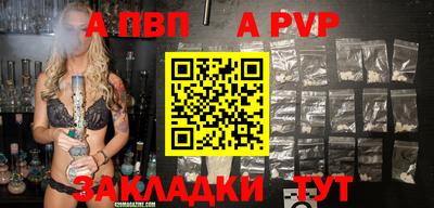 шишки Боровичи