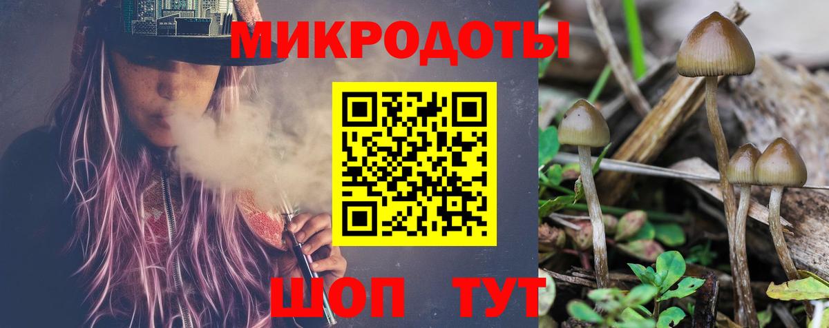 Псилоцибиновые грибы Magic Shrooms  Вход с VPN  Галлюциногенные грибы Cubensis  Выкса 